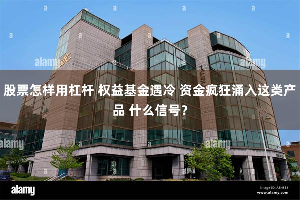 股票怎样用杠杆 权益基金遇冷 资金疯狂涌入这类产品 什么信号？