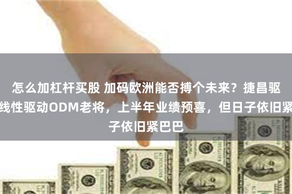 怎么加杠杆买股 加码欧洲能否搏个未来？捷昌驱动：线性驱动ODM老将，上半年业绩预喜，但日子依旧紧巴巴