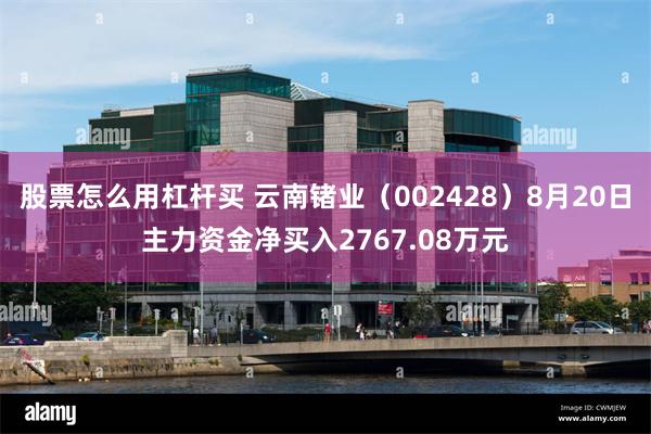 股票怎么用杠杆买 云南锗业（002428）8月20日主力资金净买入2767.08万元