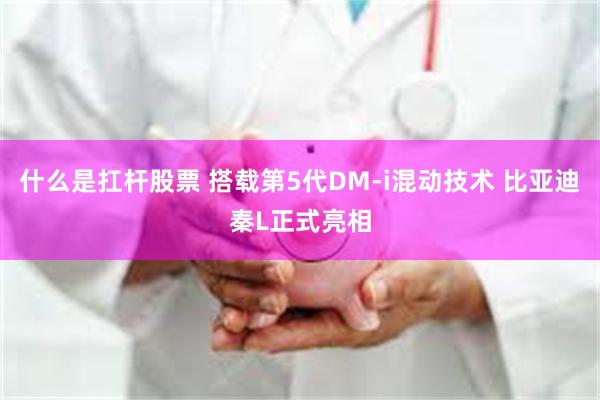 什么是扛杆股票 搭载第5代DM-i混动技术 比亚迪秦L正式亮相