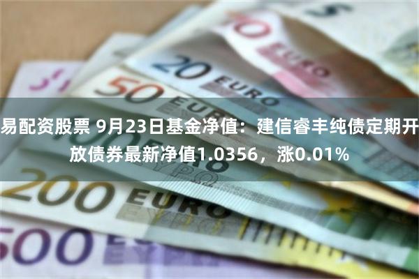 易配资股票 9月23日基金净值：建信睿丰纯债定期开放债券最新净值1.0356，涨0.01%