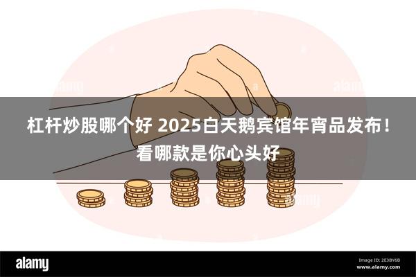 杠杆炒股哪个好 2025白天鹅宾馆年宵品发布！看哪款是你心头好