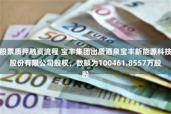 股票质押融资流程 宝丰集团出质酒泉宝丰新能源科技股份有限公司股权，数额为100461.8557万股