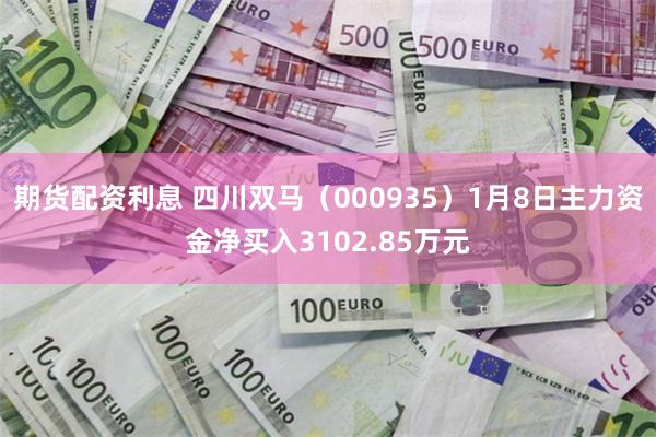 期货配资利息 四川双马（000935）1月8日主力资金净买入3102.85万元