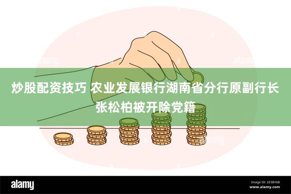 炒股配资技巧 农业发展银行湖南省分行原副行长张松柏被开除党籍