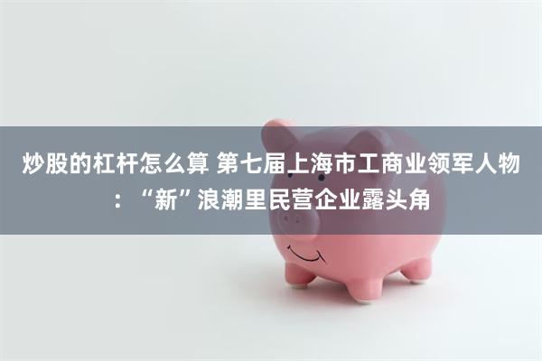 炒股的杠杆怎么算 第七届上海市工商业领军人物：“新”浪潮里民营企业露头角